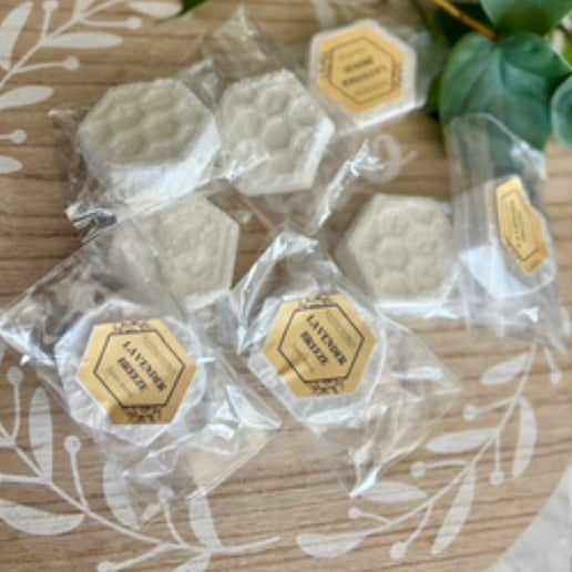 All Natural Toilet Fizzies